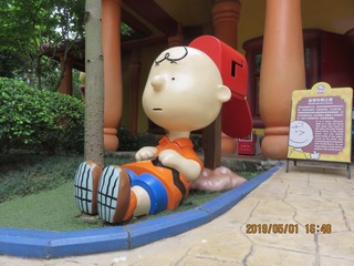 524426