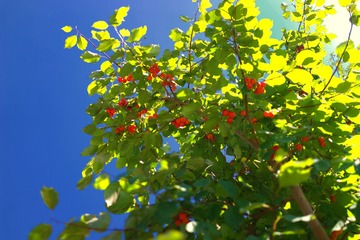 1E1ED157-C585-49AB-9E00-76B9AE34BC44/L0/001