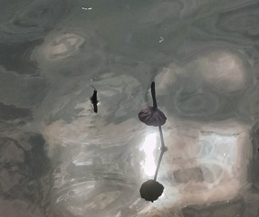 1000007045