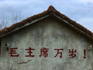 1000010241