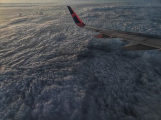 1000016392