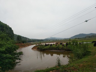 2679120