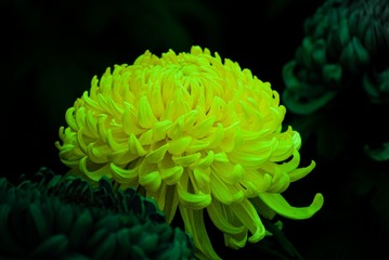 653746D4-E703-4E8D-9C0B-EED71BD3C057/L0/001