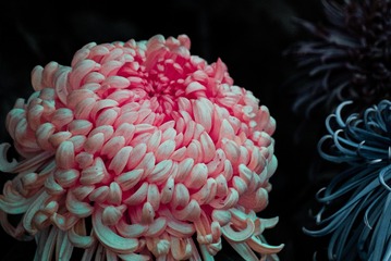 10AB5D2E-5433-45EC-9D32-15B880D148A6/L0/001
