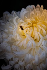 BEE68D1C-FF43-4AD6-B6F9-A1EE65AED719/L0/001