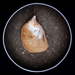 001