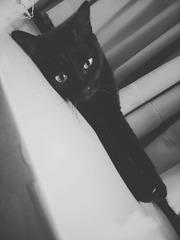 14075
