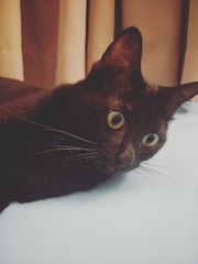 14073