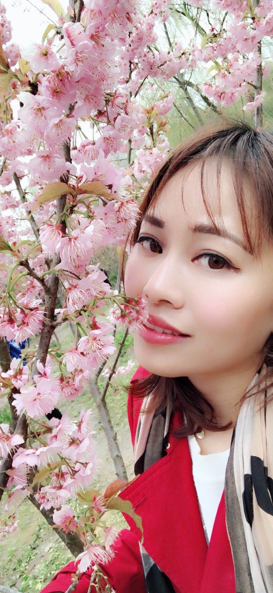 红尘来呀来去呀去