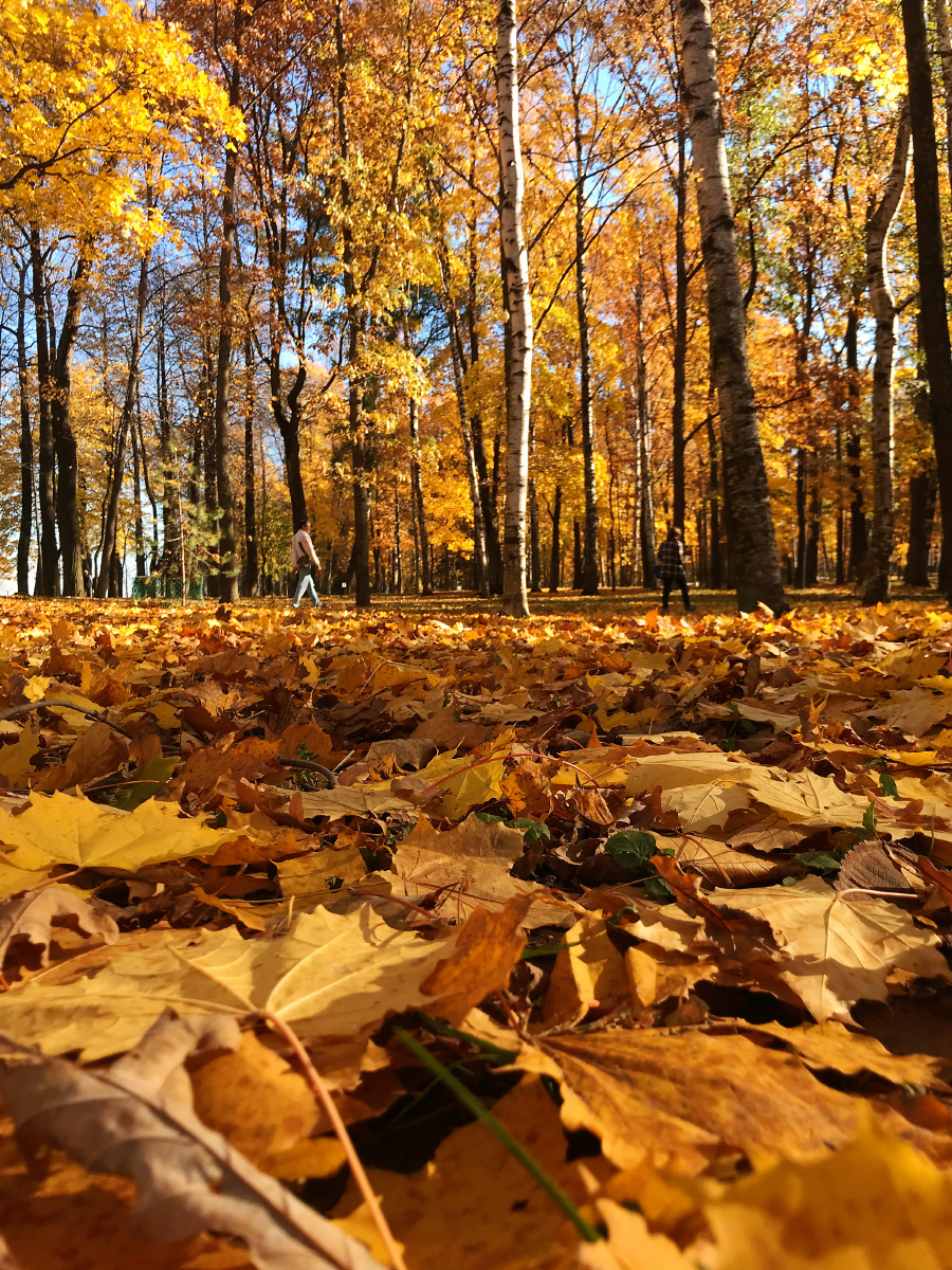等等等等等风来