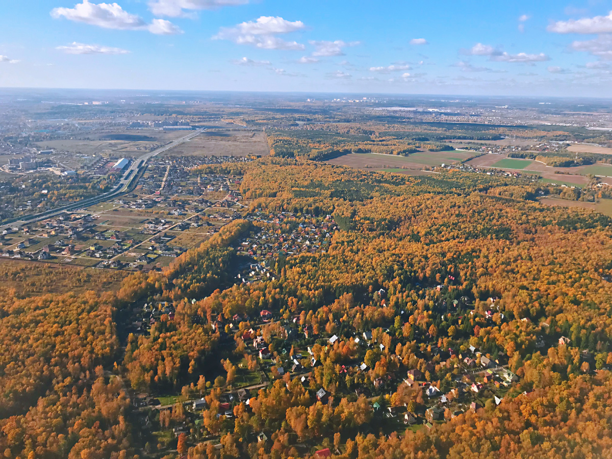 等等等等等风来