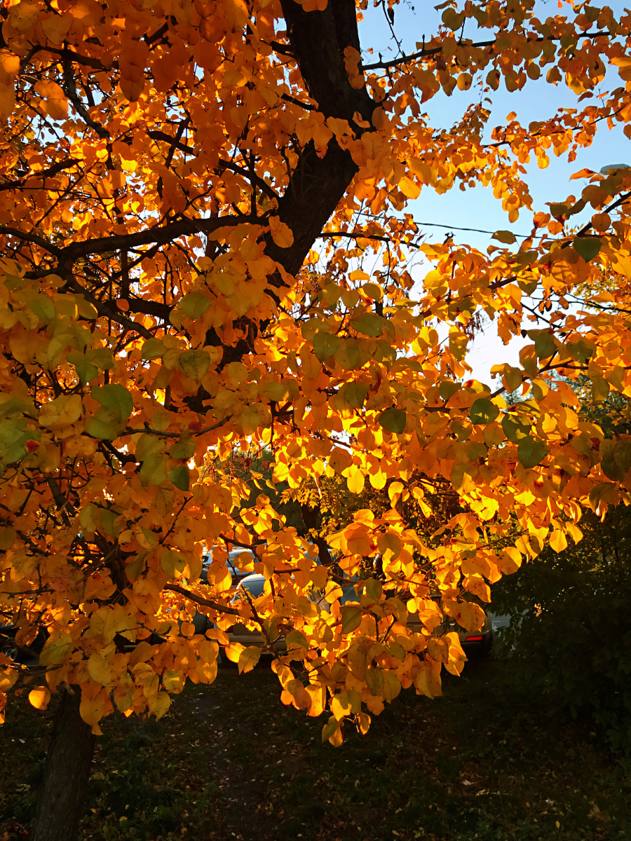 等等等等等风来