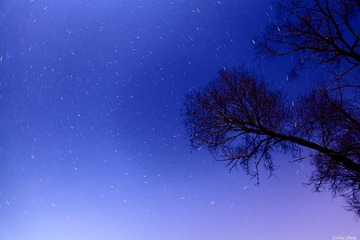 IMG_3760_DPP_