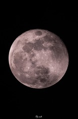 9922D3F4-DD23-41AB-84E2-C160F57F6655/L0/001