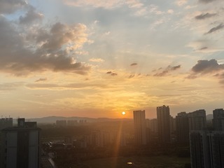 1000072292