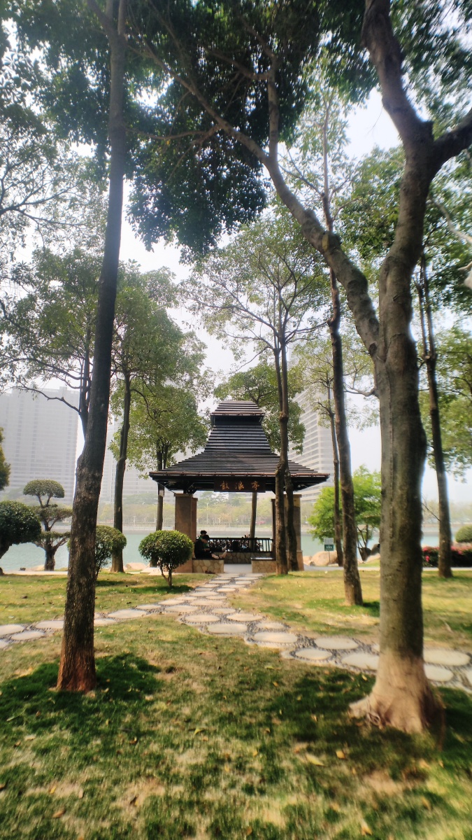 厦门海沧湖公园随拍