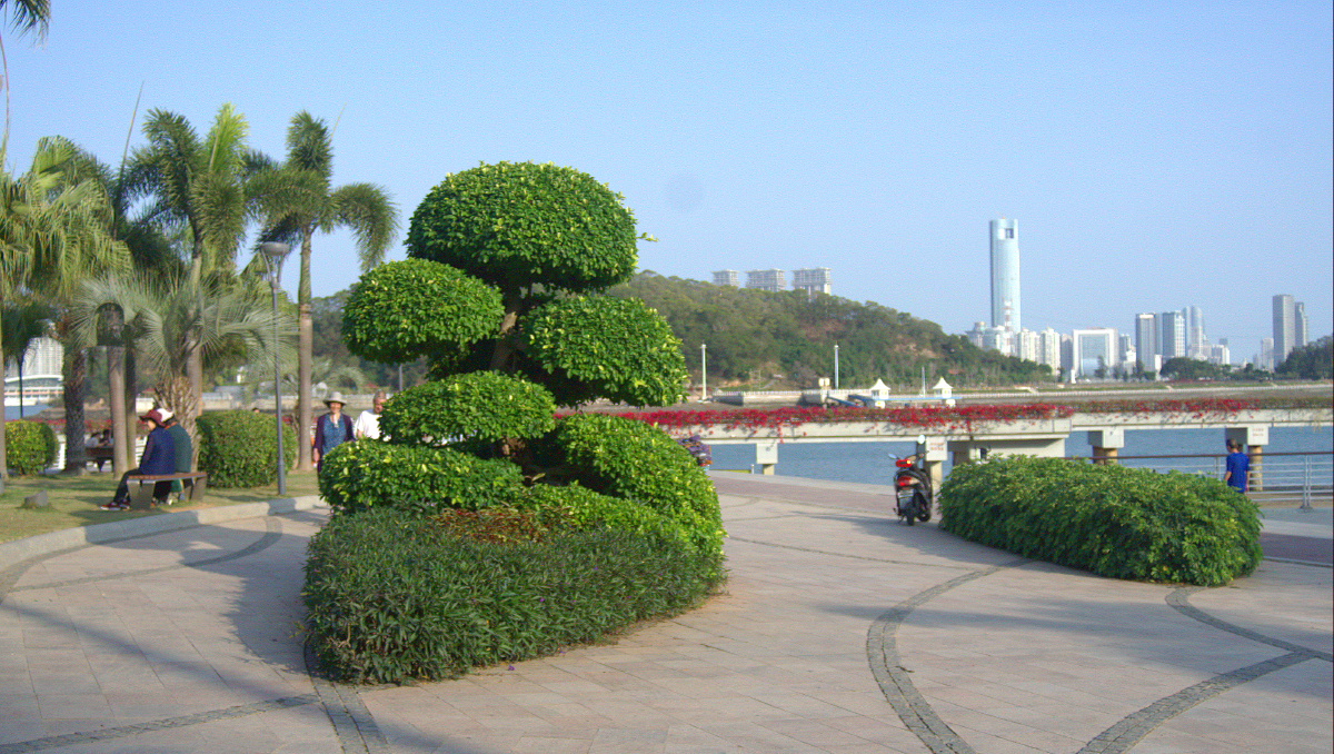 厦门海沧湾公园