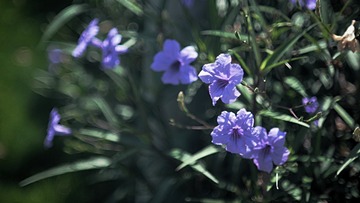 150444