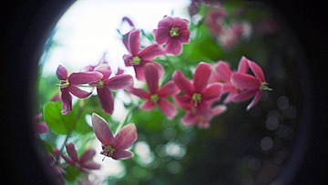 150452
