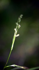 150356