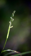 150357