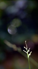 150361