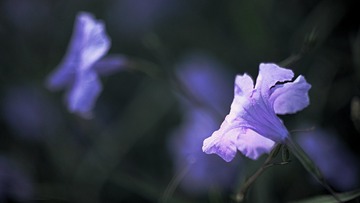 150431