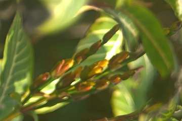 320166