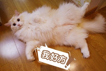 735