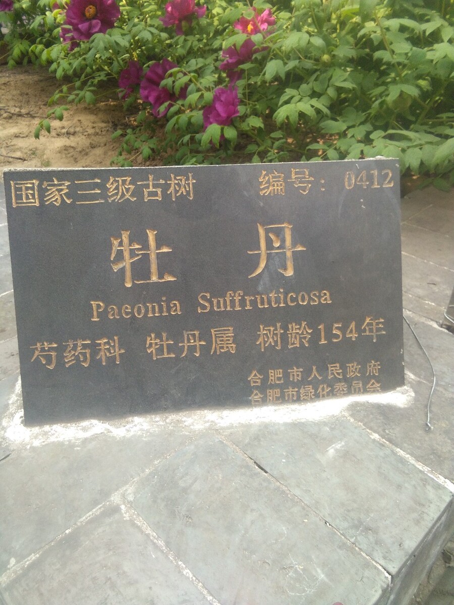 元什么墓志铭