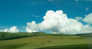 E19545B7-9890-4F13-9909-B812F1555C54/L0/001