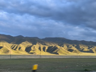 1000016696