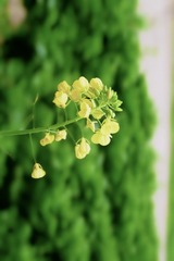 2BC44D7D-4A03-433C-AE09-A5714BA0EC21/L0/001