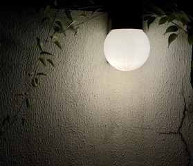 9064BF96-8705-4B23-8348-B7BFC34043B1/L0/001
