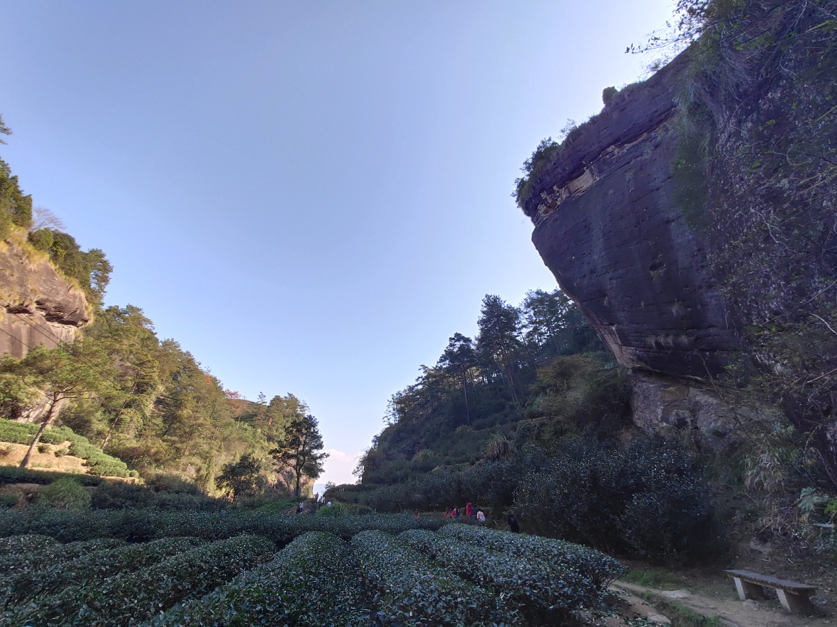 武夷岩茶正岩核心区照片欣赏040404