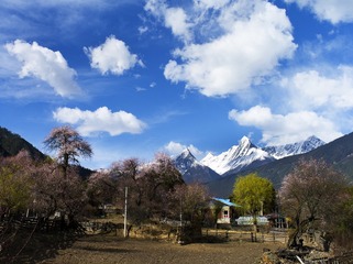 _IGP6828