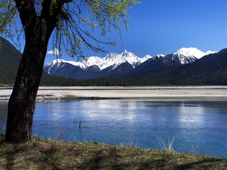 _IGP7135
