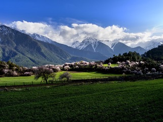 _IGP7512