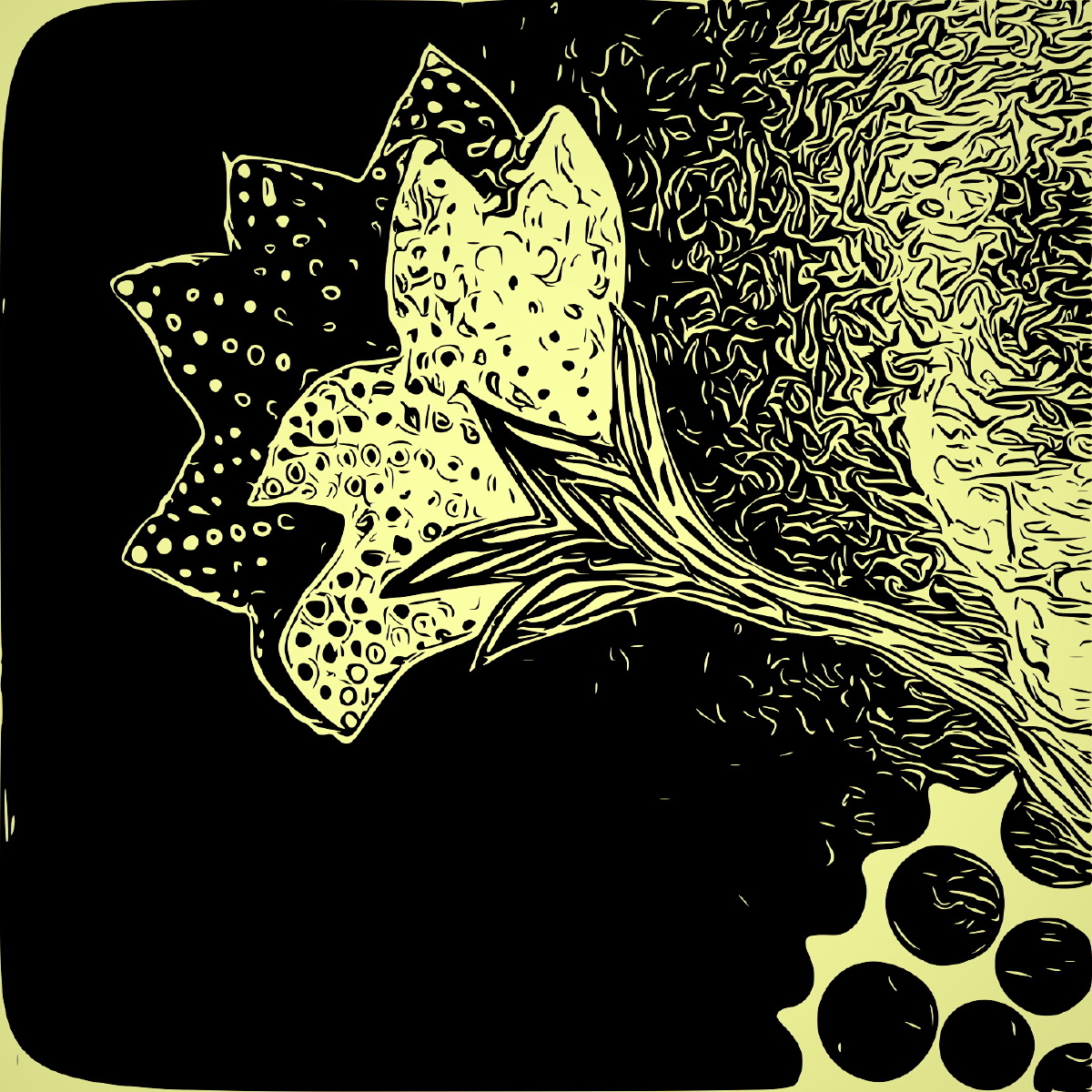 色彩, 纪实, 手机 - 火山金多虾 - 图虫摄影网