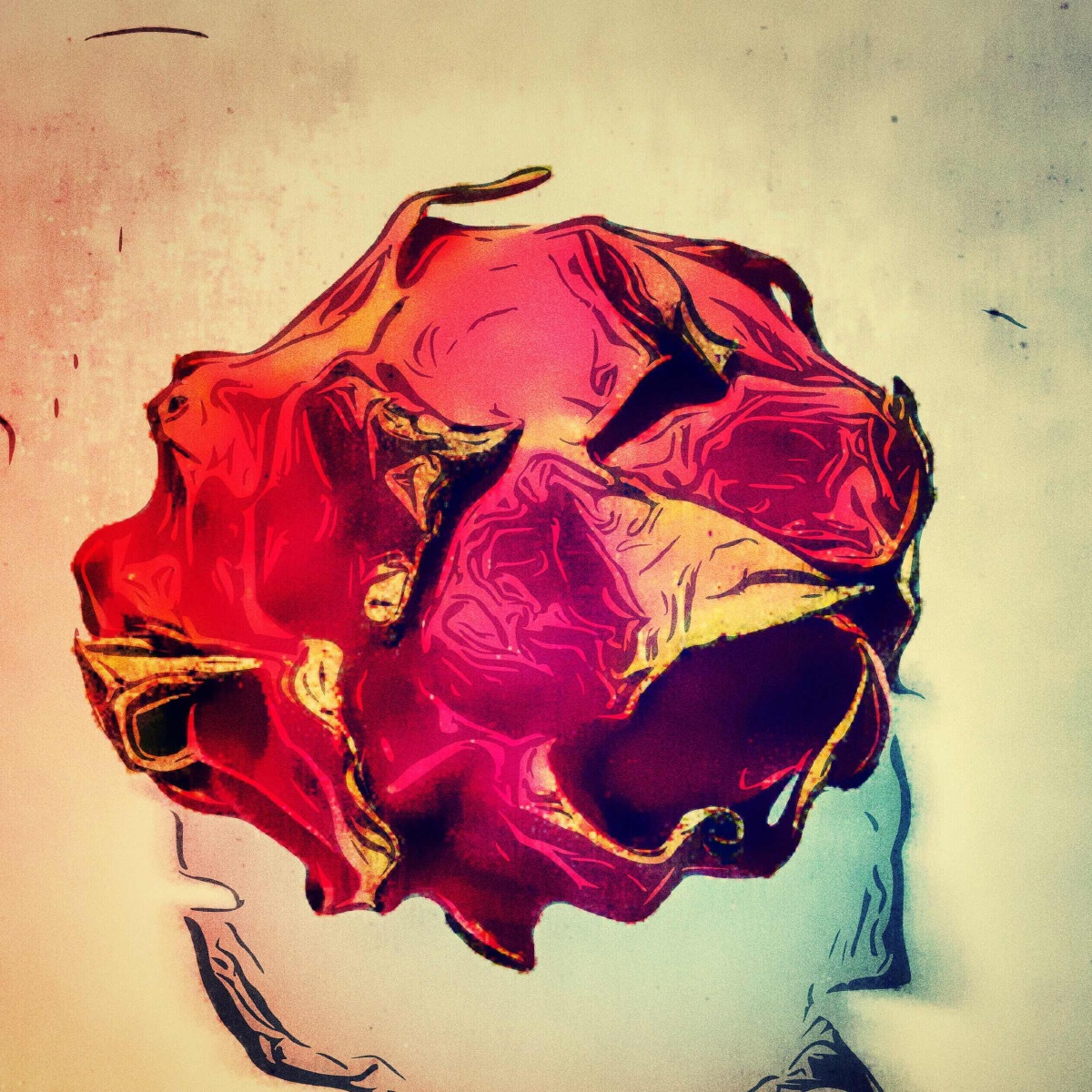 静物, 色彩, 纪实, 手机摄影 - 火山金多虾 - 图虫