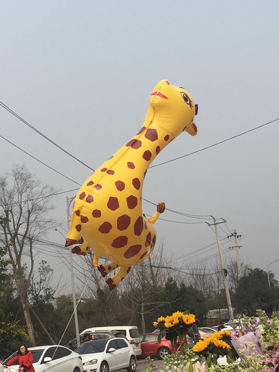 纪实, 街拍, 手机摄影 - 火山金多虾 - 图虫摄影网