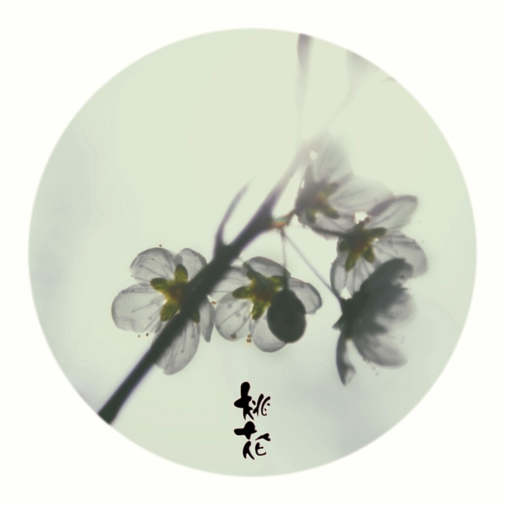 个人非常喜欢这个字体，但是韵字在这个字体中没有，就当是一种遗憾了吧