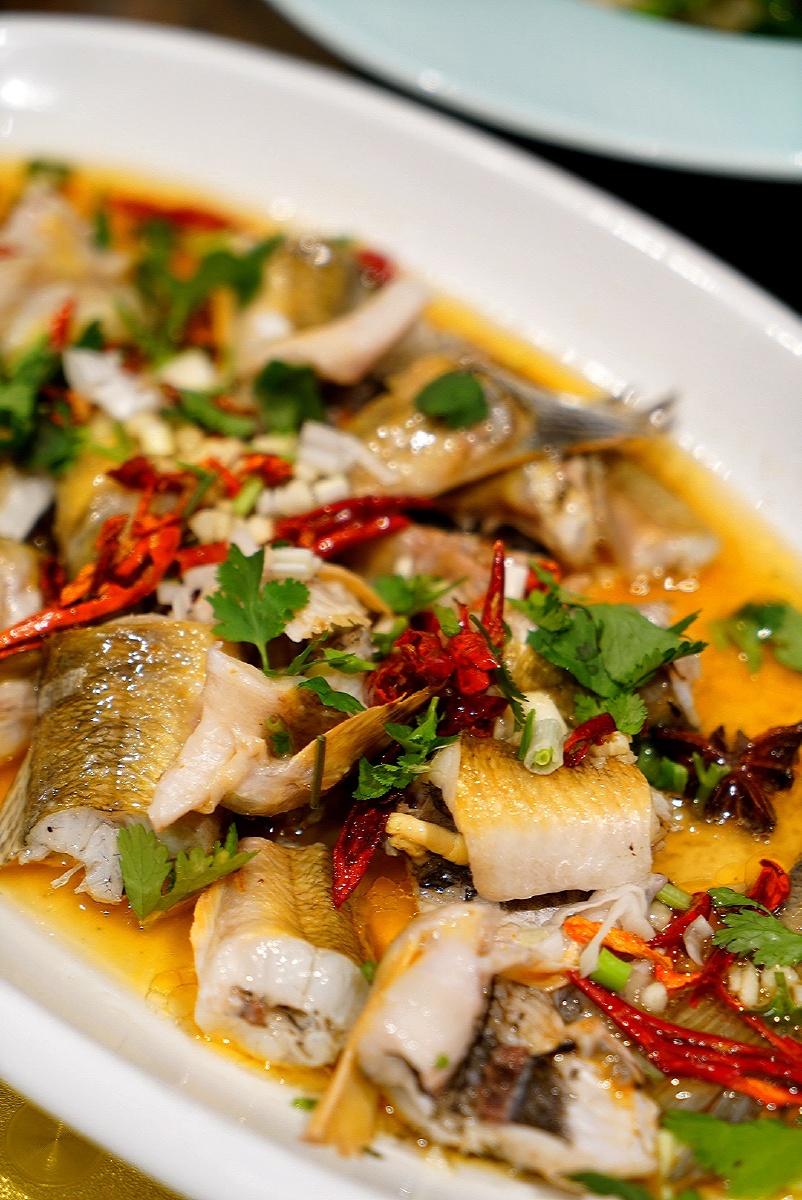 图一是光鱼,也叫沙光鱼,图二是清蒸光鱼,光鱼最好吃的是鱼颊两边各有