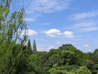 PXL_20230618_054735289