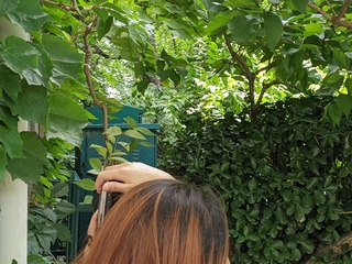 PXL_20230618_053709497