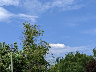 PXL_20230618_051508165