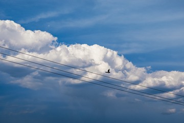 A04E4692-1BDE-4890-8E7F-650737CFA118/L0/001