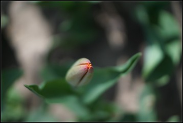 201425