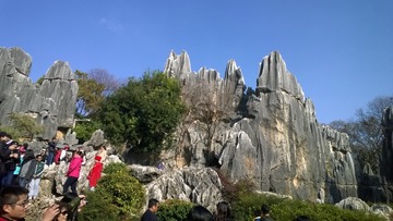 276798