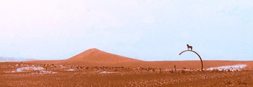 0524FAA9-875F-4B52-AFF0-DE7DD77E98DA/L0/001